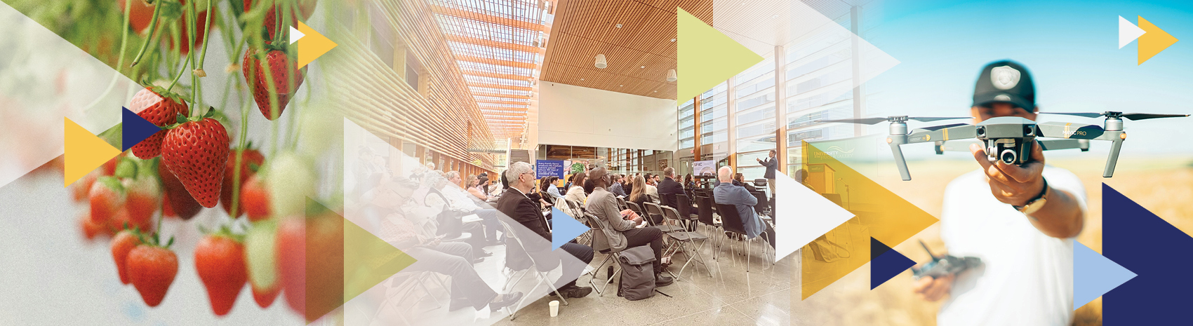 Building a sustainable future